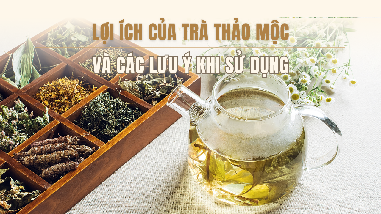 Lợi ích của trà thảo mộc và các lưu ý khi sử dụng