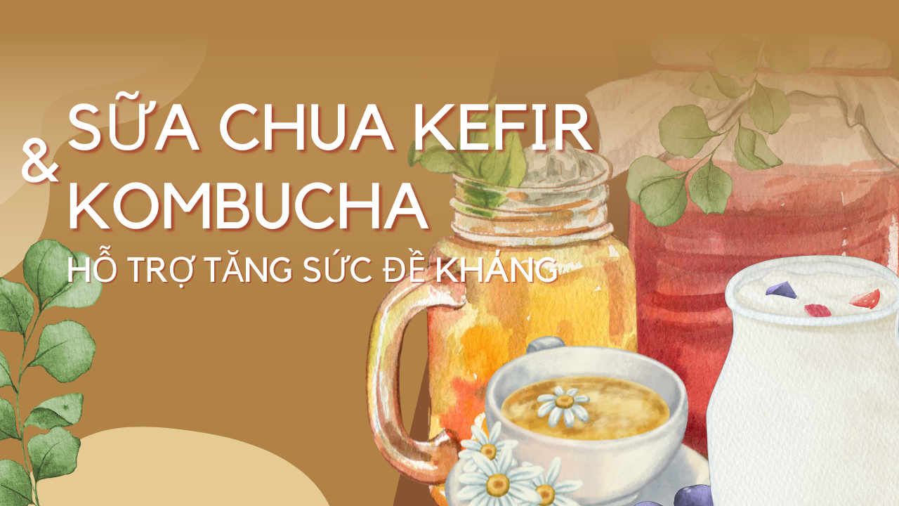 Tăng sức đề kháng với sữa chua Kefir và trà lên men