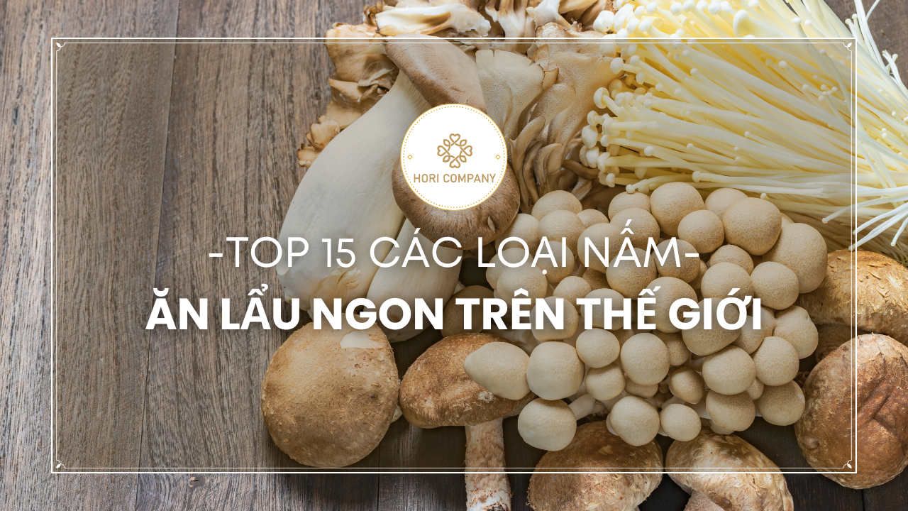 Top 15 các loại nấm ăn lẩu ngon trên thế giới